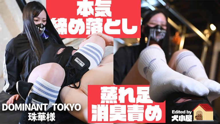 Doggiehouse 0024 jacket