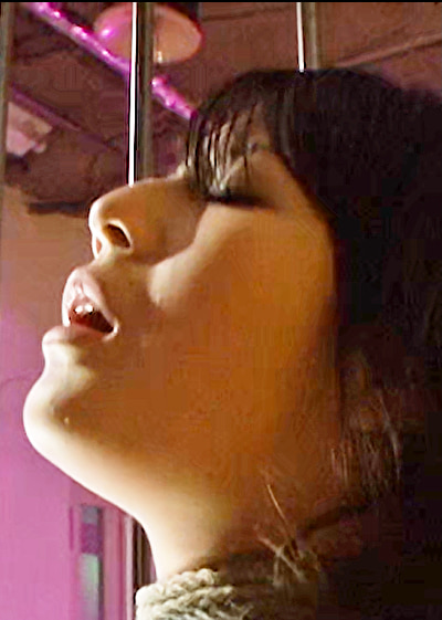 Pe utr0016 01 T1738819090