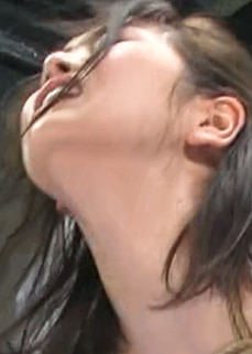 Pe utr0025 01 T1738819096